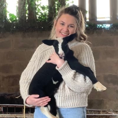 rhea_burton_1's profile picture. Lecturer in Zoology at @BangorUni. Zoology with Animal Management course director. All views are my own. Elephant movement ecology 🐘