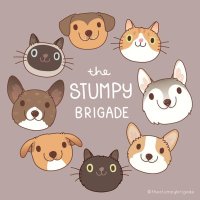 The Stumpy Brigade(@StumpyBrigade) 's Twitter Profile Photo
