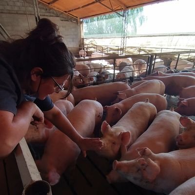 Ingeniera Zootecnista
Máster Sanidad y Producción Porcina (Lleida)
Están los veganos, vegetarianos, flexitarianos y  los CERDANOS 🐽

#LovePork