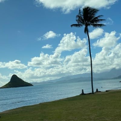 mmorris1212's profile picture. 