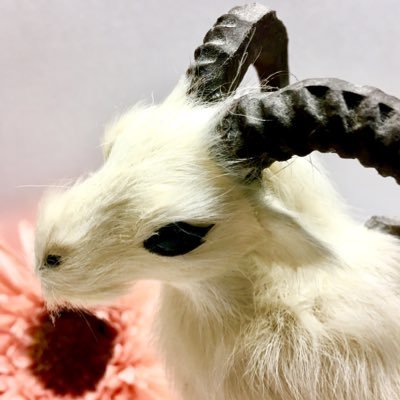 立花さんのプロフィール画像