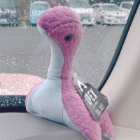 SKYのなおっぺ (@naoetpe) 's Twitter Profile