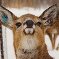 Jejen (@baekhyun_waifu) 's Twitter Profile
