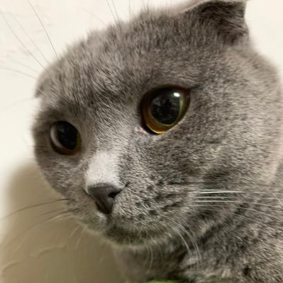 XSOBYaup82Uubc9's profile picture. 22B工学院 U80 前のアカウントログインできなくなった