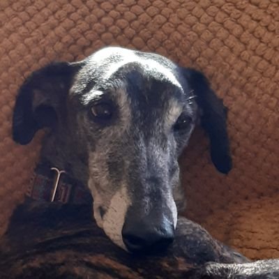 Terri60575571's profile picture. 