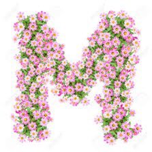 modelityfashion's profile picture. 