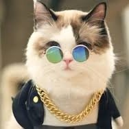 ArlanaDevi's profile picture. Love Life。🇨🇳（互/fo/100%）