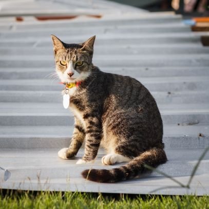 zhexiangxd's profile picture. Unpopular opinions