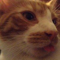 woot000 (@w00t000) 's Twitter Profile Photo woot000 (@w00t000) 's Twitter Profile Photo