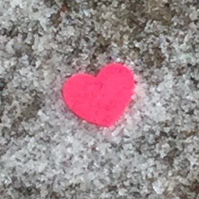 MsZuzarte's profile picture. Personal Twitter of a proud & grateful Catholic teacher, passionate about adolescent literacy & Holocaust Education
“Think higher; Feel deeper.”-Elie Wiesel