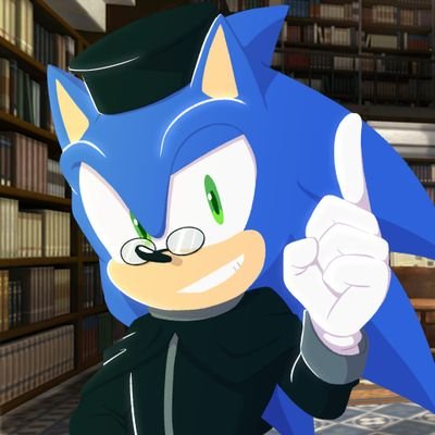 Debunking misconceptions and giving analysis around the Sonic the Hedgehog games lore from all aspects
|Pic @knightnicole95