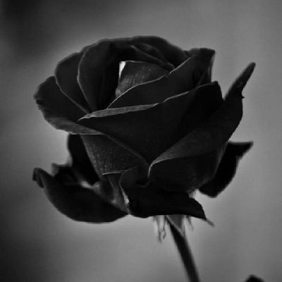 Angel93857061's profile picture. 