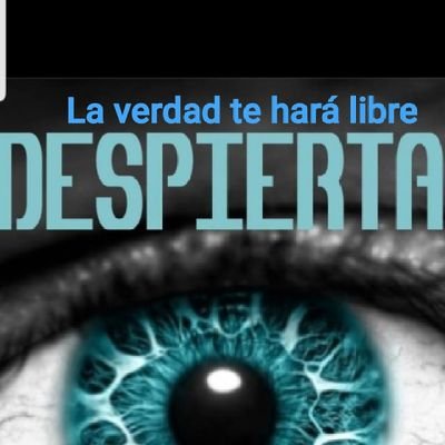 Yorky369's profile picture. NUEVO AMANECER, DESPIERTA,DONDE VA 1 VAMOS TODOS, LA VERDAD TE HARÁ LIBRE. 369