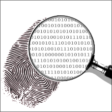 Dipl.-Inform. - PhD work in progress - law enforcement employee in the field of forensics