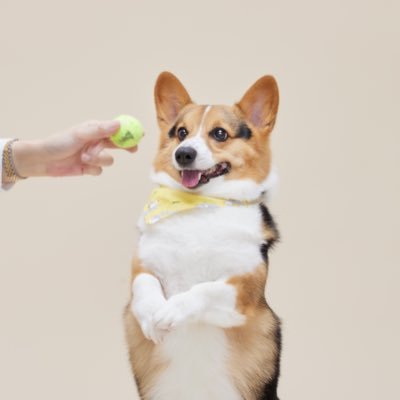 karenh324's profile picture. 