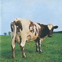 Timothy Lindstrom - @timothy918 - Twitter