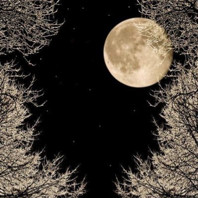 JasonDaGolfer's profile picture. 27 years old. Seattle born and raised. Rain city is my home ☔️🏡