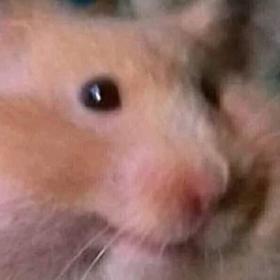 nxthbur's profile picture. 