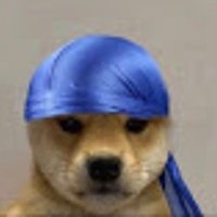idk (@stupiddog24) Twitter profile photo