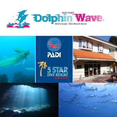 DolphinwaveFuto Profile Picture