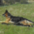 GsdStephen's profile image