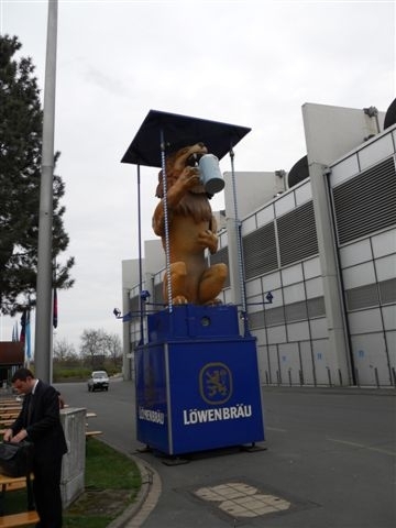 ct_gull's profile picture. 