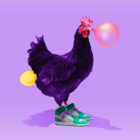 WhatChu HODL’ing (@whatchu_hodling) 's Twitter Profile