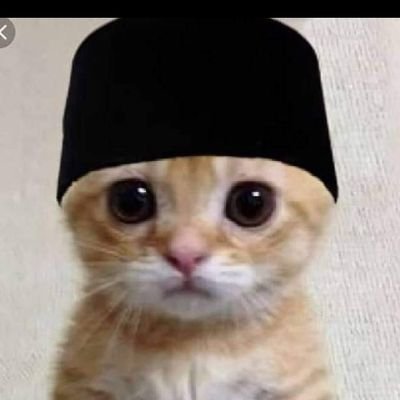 S_AhmadAbuLaila's profile picture. ⛔𝘾𝙚𝙗𝙞𝙥𝙖𝙣𝙜 ⛔ 𝙇𝙜𝙗𝙩 ⛔ 𝙋𝙚𝙣𝙞𝙨𝙩𝙖 𝘼𝙜𝙖𝙢𝙖&𝙐𝙡𝙖𝙢𝙖 ⛔ 𝙎𝙮𝙞'𝙖𝙝 ⛔𝙋𝙤𝙧𝙣 #GakFollowPorno

𝓴𝓪𝓬𝓾𝓷𝓰 𝓤𝓵𝓪𝓶𝓪 𝓟𝓮𝓷𝓬𝓷𝓽𝓪 𝓗𝓼𝓫𝓪𝓲𝓫