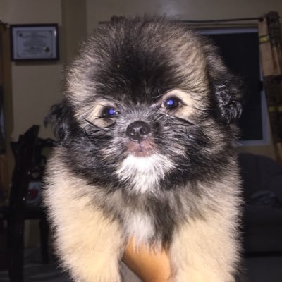 sourire_forme1's profile picture. 🄼🄾🅁🄴 🄾🄵 🅈🄾🅄 🄹🄴🅂🅄🅂 🄻🄴🅂🅂 🄾🄵 🄼🄴, 𝙷𝙸𝚂 𝙻𝙾𝚅𝙴 𝙽𝙴𝚅𝙴𝚁 𝙵𝙰𝙸𝙻𝚂.🌸