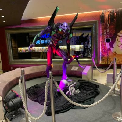 eWEf7Srb53LtTeZ's profile picture. 