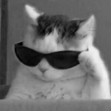 trolleyproblem2's profile picture. 