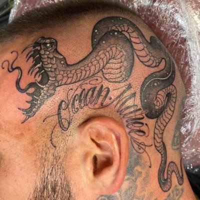 snakesnake333's profile picture. 
