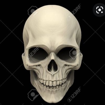 Criptoworld777's profile picture. 