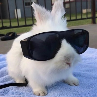 Yrabunny's profile picture. 이게 사랑일까? 사랑일걸 ....