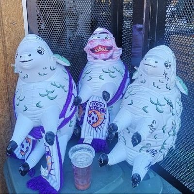 Rescued from AAMI Park in 2019. spent the last 3 years in various suitcases or at Wellington Phoenix and Perth Glory games. Sheep/Ovine.
