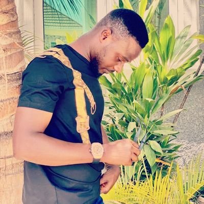 RalphHajD's profile picture. Strive for perfection, settle for excellence