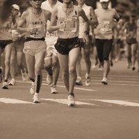Polite runner (@iwtwhard) Twitter profile photo