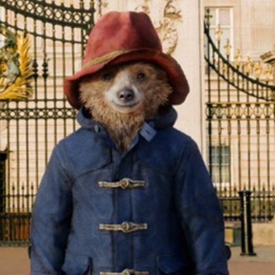 TheAverageBeaar's profile picture. • Reader not a Tweeter
• Fuck the right wing
• All views my own etc.