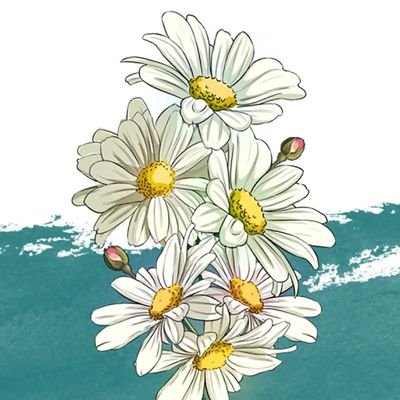 Steffateffaa's profile picture. 