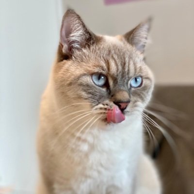 Camillec_0917's profile picture. 