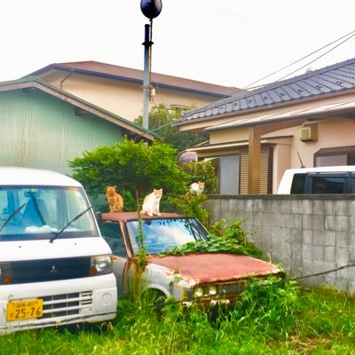 専修大学哲学 こんなやつでも3年になりそうです  原神やれ