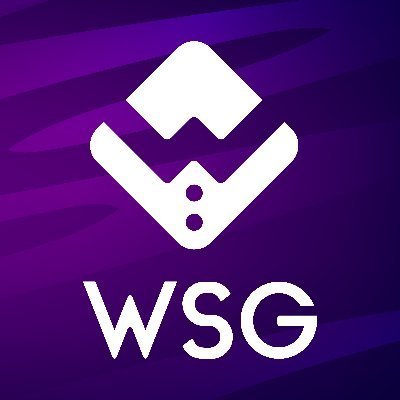 Why buy WSG?