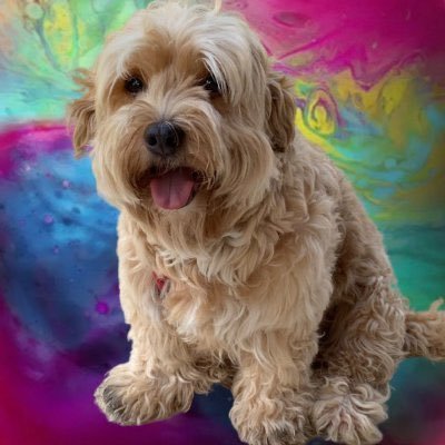 ranrouny77's profile picture. Mother. Teacher. K-Drama Veteran. Love Reading. BTS makes me happy. OT7 with a soft spot for the bunny. PTD LV D3 & D4 💜