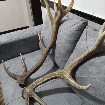 Alias98674981's profile picture. موفقیت تصادفی نیست