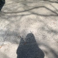 あゆか (@a____h____o) 's Twitter Profile
