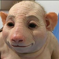 ꧁༻ POdkurw༺꧂ (@gracjan_podpora) 's Twitter Profile
