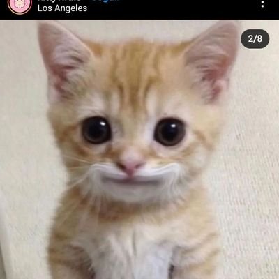 leonardo_acker's profile picture. 20 years

027