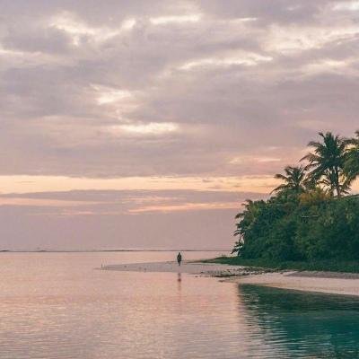 CorrineDarlene's profile picture. 