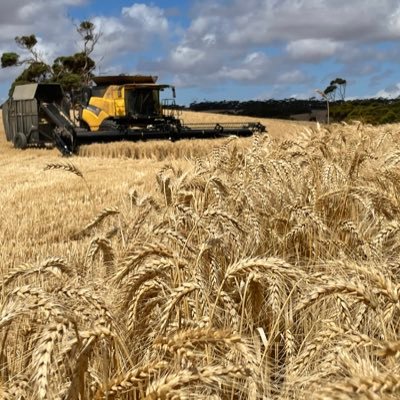 Growing food (grains and sheep) Husband + dad of 4. Nuffield scholar, ag groups, volly firefighter,Pro sustainability. Always learning.