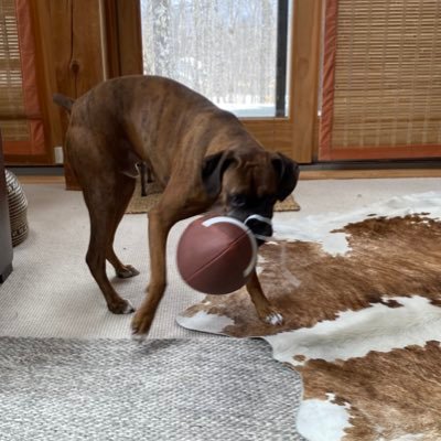 Os1Ruby's profile picture. 